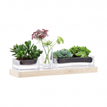 Набор из 3 контейнеров и подставки Modular, 41 см