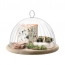 Блюдо со стеклянным куполом Aurelia, 25 см
