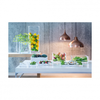 Ваза прямоугольная Modular, 20 x 5 x 5 см, прозрачная